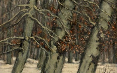 Leonid Sologoub (1884-1956), Gezicht op Bezuidenhout in de winter