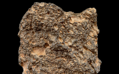 NWA 11303 Lunar Meteorite Lunar (feldspathic breccia) Northwest Africa...