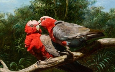 Painting of Galah Birds, Ted Ward.