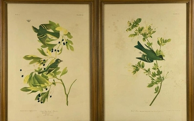 Pair of Audubon Bien Edition Chromolithographs