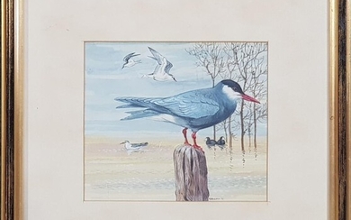 Robin Hill "Waterbirds 1967" watercolour and gouache, 26 x 26cm (frame), signed and dated lower right