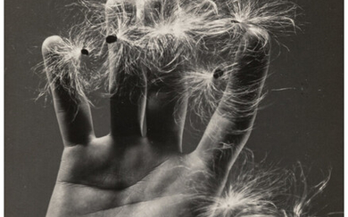 Ruth Bernhard (1905-2006), Hand with Milkweed I, Milkweed II, Milkweed (3 works) (1946)