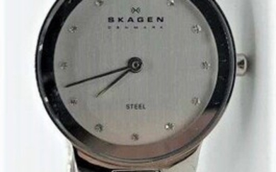 SKAGEN Denmark Ladies Stainless Steel Wristwatch