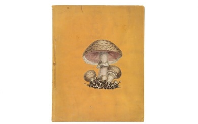 Sowerby, James, Poisonous Fungi