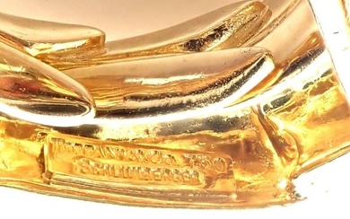 Tiffany & Co Jean Schlumberger Diamond Yellow Gold Platinum Pin Brooch