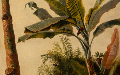 Wild Palm and Cacti,French School, 19th Century