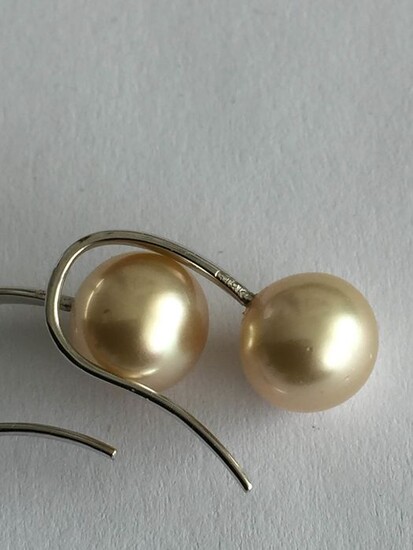 18 kt. South sea pearls - Earrings