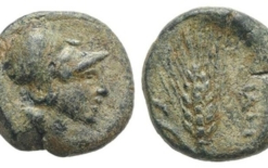 South Italy, Uncertain mint (Teate?), c. 3rd century BC. Æ...