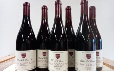 6 bouteilles de Bourgogne 2018 Côteaux Bourguignon... - Lot 27 - Enchères Maisons-Laffitte