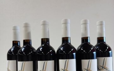 6 bouteilles de Côtes de Provence. Rouge.... - Lot 27 - Enchères Maisons-Laffitte