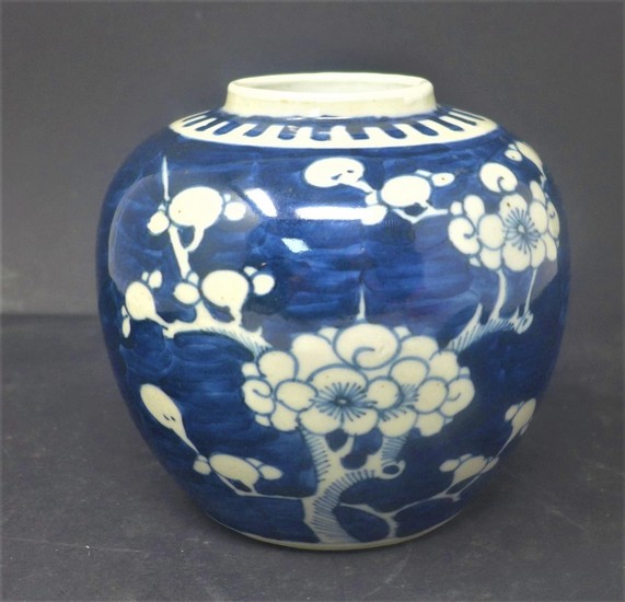 A 19th century Chinese blue and white ginger jar, decorated ...