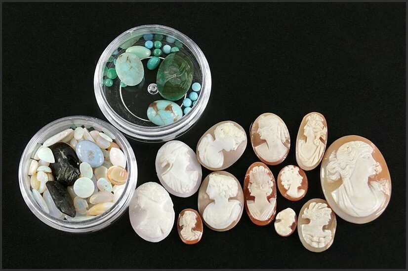 A Collection of Unmounted Carved Shell Cameos.