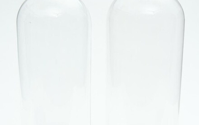 A MATCHED PAIR OF FRENCH GLASS DOMES ON EBONISED BASES, 53 CM AND 52.5 CM HIGH