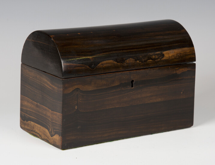 A Victorian coromandel dome-topped tea caddy, the interior fitted with two lidded compartments, widt