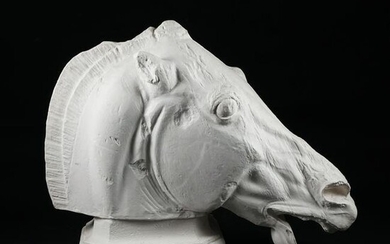 A plaster horse head
