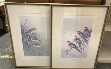 A set of 4 Neville Cayley limited edition prints, embossed, 71 x 52cm (frame)