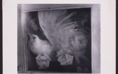 "BIRD OF THE DEATH DREAM: 1953", CLARENS JOHN LAUGHLIN (Louisiana, 1905 - 1985)