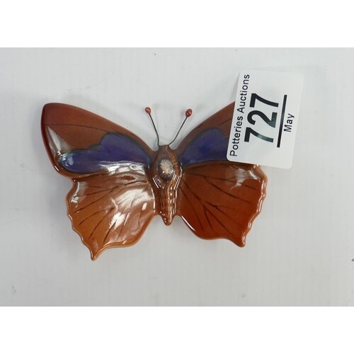 Beswick Purple Hairstreak Butterfly 1494