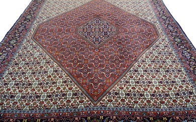 Bidjar Tekap Bukan - cleaned carpet - 300 cm - 248 cm