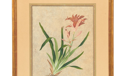 Chinese School, botanical painting, c. 1830