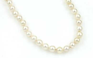 Cultured akoya pearl necklace