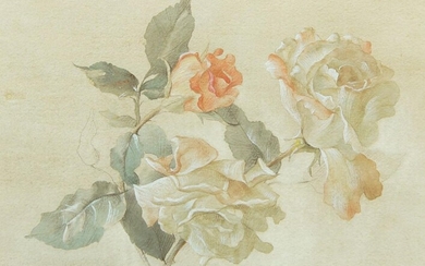 Edward Hurst, American 1912-1972- Botanical study; watercolour heightened with white, signed lower left, 28 x 36 cm