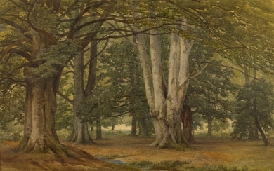Frederick Richard Lee, RA, British 1798-1879- Burnham Beeches; watercolour and bodycolour on paper, signed, titled, and dated 'Burnham Beeches / F. R. Lee. RA. 1857' on the reverse of the sheet, 30.5 x 48 cm. Provenance: Private Collection, UK...