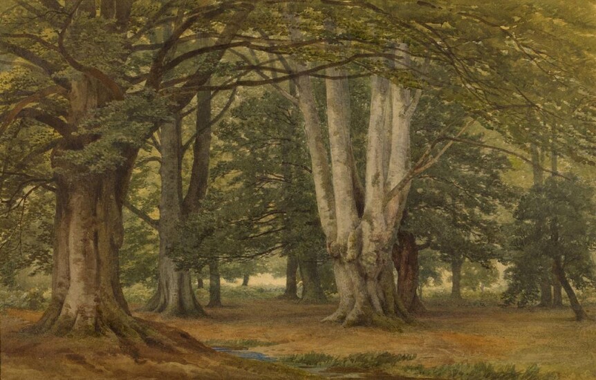 Frederick Richard Lee, RA, British 1798-1879- Burnham Beeches; watercolour and bodycolour on paper, signed, titled, and dated 'Burnham Beeches / F. R. Lee. RA. 1857' on the reverse of the sheet, 30.5 x 48 cm. Provenance: Private Collection, UK...