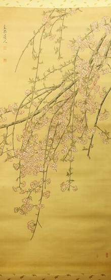 Hanging scroll - Silk - Sakura tree - With signature 'Seika' 聖果 seal Tenho' 天放 - Japan - 1940-60(Showa period)