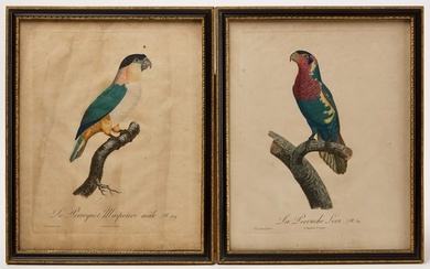 Jacques Barraband - Two Bird Prints from Histoire des Parroquets