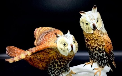 Karl Ens, Volkstedt - Huge Pair of Owls Birds on Branch (36/26 cm) - ca 1910 - Porcelain