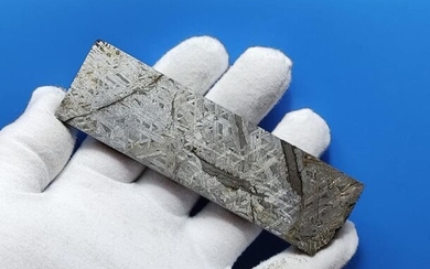 Meteorite ALETAI - Iron IIIE-an - 119×34×9 mm - 265 g