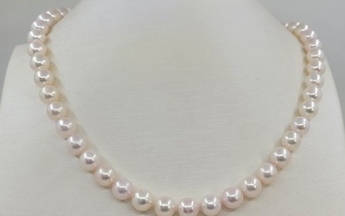 Necklace 8x8.5mm Bright Akoya pearls
