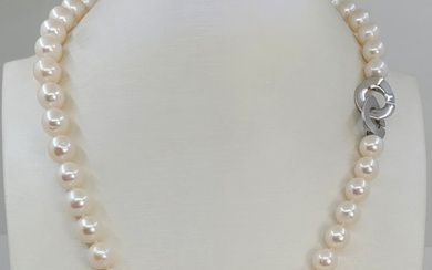 No Reserve Price - Necklace 9x10mm Round White Edison - 925 Freshwater pearls, Silver