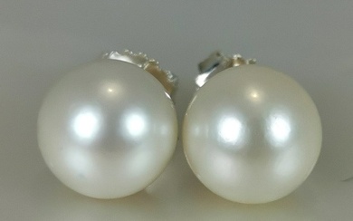 No Reserve Price - australian SSP pearls RD Ø 10,5x11 MM - 925 Silver - Earrings South Sea Pearl