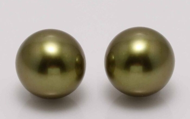 No reserve price - 14 kt. Yellow Gold - 10x11mm Special Colour Tahitian Pearls - Earrings