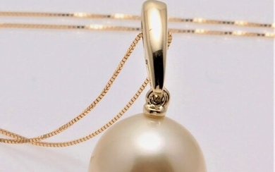 No reserve price - 14 kt. Yellow Gold - 11x12mm Champagne Golden South Sea Pearl - Necklace with pendant