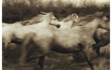 Robert Farber (1944), Running Horses (1989)