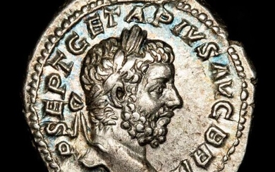 Roman Empire. Geta (AD 209-211). AR Denarius,Rome mint - FORT RED TR P III COS II P P, Fortuna.