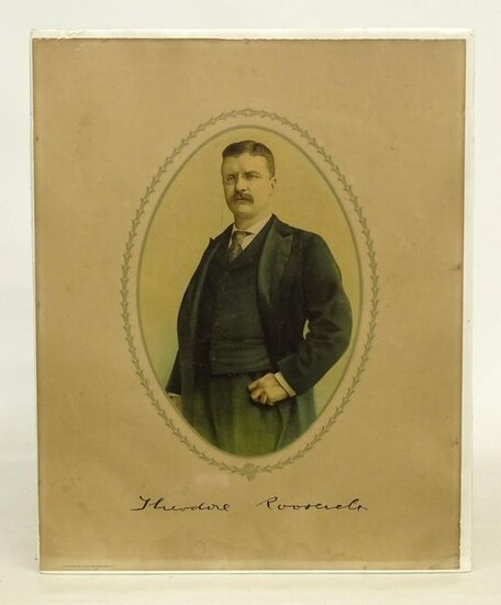 Theodore Roosevelt Poster