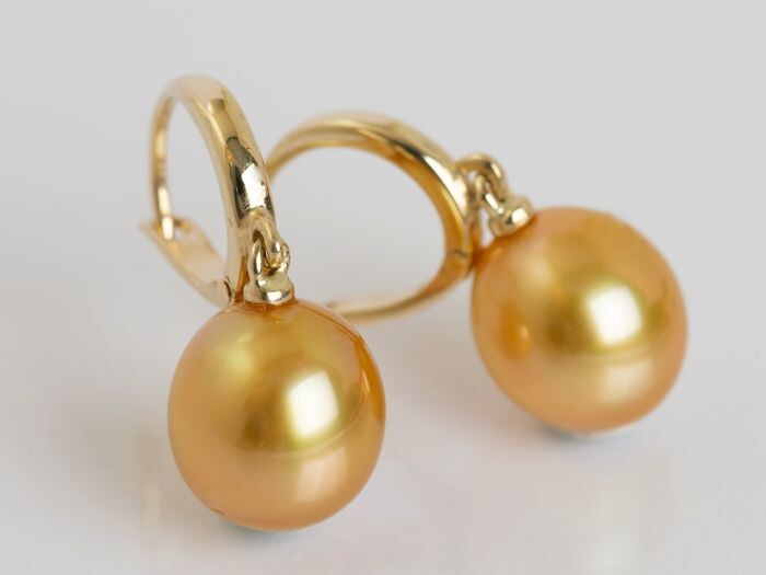 United Pearl - 14 kt. Yellow Gold - 9x10mm Golden South Sea Pearl Drops - Earrings