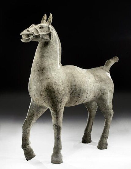 Very Large Chinese Han Dynasty Pottery Horse w/ TL