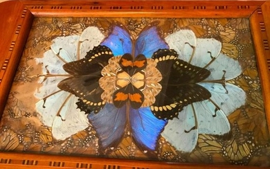 Vintage Art Deco Butterfly Wing & Inlaid Wood Tray