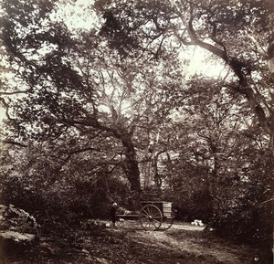 William Drooke Harrison Forêt de Fontainebleau, c.…