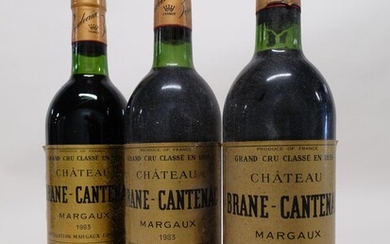 12 bouteilles CHÂTEAU BRANE CANTENAC 1983 2è GC Margaux (3 légèrement bas