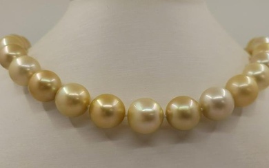 12.2x14.5mm Multi Golden South Sea Pearls - Necklace