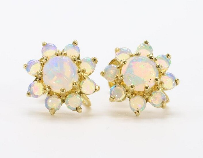 18KY Gold Opal Earrings
