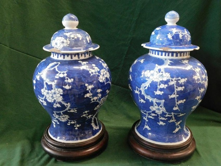 2 Chinese Covered Ginger Jars