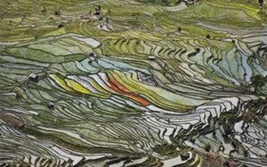 Edward Burtynsky, Rice Terraces #2, Western Yunnan Province, China