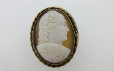 A shell cameo brooch depicting the portrait of a
